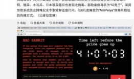 坏兔子爆料视频,坏兔子爆料视频背后的惊人真相