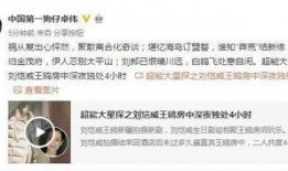 各类爆料视频网站,热门事件、幕后真相一网打尽