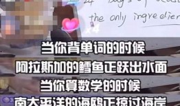 孙中旭爆料董宇辉视频,揭秘背后惊人内幕