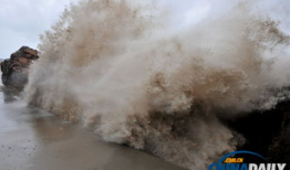 巨浪在线观看,揭秘海上风暴的惊心动魄