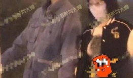 刘大锤爆料影帝视频全集,视频全集深度解析