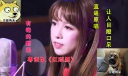 囡囡在线观看粤语,重温经典，感受粤语魅力