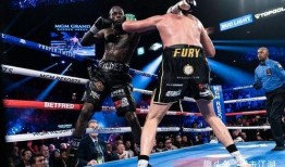 拳王维尔德最新爆料,拳坛传奇背后的不为人知故事