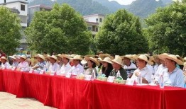 清远阳山新闻爆料,聚焦本土热点事件，揭秘最新爆料动态