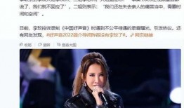 李文姐姐爆料视频,事件背后惊人真相