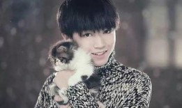 王俊凯失眠爆料视频,揭秘明星背后的睡眠困扰