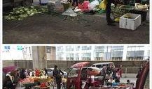 半山小镇爆料最新消息视频,揭秘神秘视频背后的惊人真相