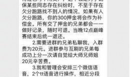 巅峰教授爆料视频,视频爆料背后的惊人真相