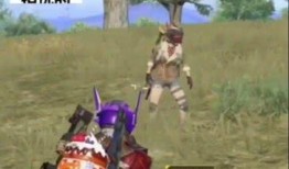 狗哥爆料和平精英视频大全,和平精英视频大全精彩瞬间大盘点