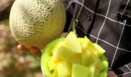 中国娱乐吃瓜,揭秘中国娱乐界的“吃瓜”盛况