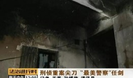 惊天大案爆料视频大全集,视频大全集深度解析