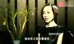 梅艳芳死前爆料视频大全,生前爆料视频大全回顾