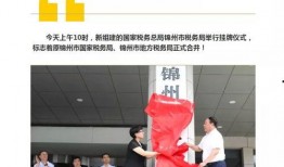 锦州头条最新爆料,重大事件背后真相揭晓！