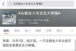 热点爆料话题大全最新,揭秘社会现象背后的真相