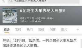 热点爆料话题大全最新,揭秘社会现象背后的真相