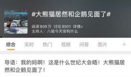 热点爆料话题大全最新,揭秘社会现象背后的真相