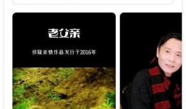 乐凡爆料录音视频网,揭秘事件背后真相