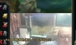 老岳爆料换中单视频下载,独家视频下载解析