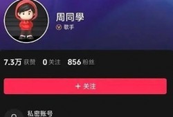 抖音有新闻能爆料吗,新闻爆料新渠道，短视频时代的信息传播新趋势