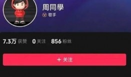 抖音有新闻能爆料吗,新闻爆料新渠道，短视频时代的信息传播新趋势