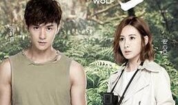 狼王子在线观看全集,在线观看全集，探寻神秘森林的传奇之旅