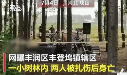 唐山最新爆料案件,细节披露，真相渐明