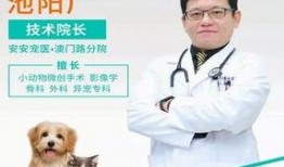 兽医在线观看,揭秘动物健康守护者的虚拟世界