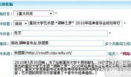 宝安新闻爆料投稿入口,开启全民参与新闻报道的新篇章