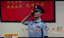 惊天大案爆料视频大全集,视频大全集深度解析