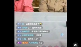 孙中旭爆料董宇辉视频,揭秘背后惊人内幕