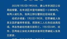 唐山最新爆料案件,细节披露，真相渐明