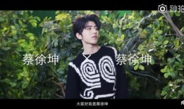 先生爆料蔡徐坤视频完整版,先生爆料背后的真相与争议