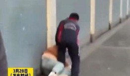 男子爆料孩子被打视频,孩子被打视频引发社会关注