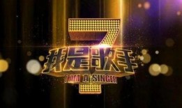 抖音新歌爆料怎么做视频,轻松打造热门音乐短视频