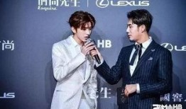 先生爆料蔡徐坤视频完整版,先生爆料背后的真相与争议