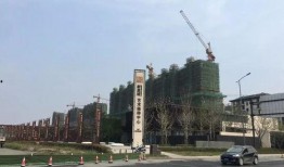 天津最新绿地爆料,揭秘城市公园群新亮点