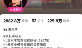 赖家益被爆料的视频大全,揭秘背后真相与争议