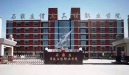 石家庄职场最新爆料,揭秘最新爆料背后的职场真相