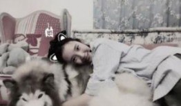 大狗最新爆料图片高清,高清图片揭秘神秘科技新品