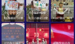 甘孜电视台爆料视频,揭秘事件背后真相