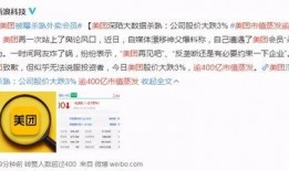 美团最新爆料,揭秘行业变革背后的秘密与机遇