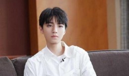 娱乐圈吃瓜爆料 王俊凯,揭秘明星背后的故事