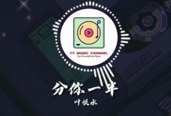 抖音爆料视频歌曲大全,揭秘爆款音乐背后的故事