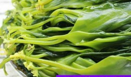 海带苗嫩苗爆料怎么做视频,视频制作攻略全解析