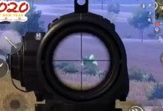 狗哥爆料和平精英视频大全,和平精英视频大全精彩瞬间大盘点