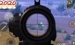 狗哥爆料和平精英视频大全,和平精英视频大全精彩瞬间大盘点