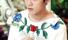 爆料鹿晗杨幂视频在线观看,在线观看引发热议