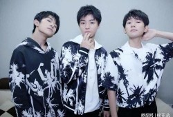 tfboys爆料视频在线观看,揭秘青春成长背后的故事