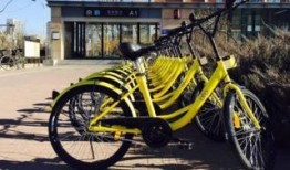 小黄车客服最新爆料,揭秘共享单车行业最新动态