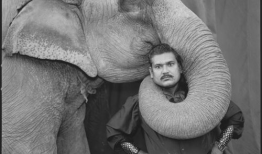 大象玛莉爆料视频大全集,欢乐时光尽在其中